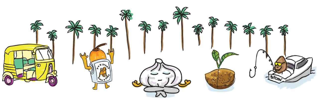 Collection Banner Image
