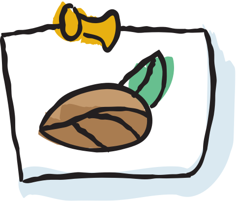 Almond poster